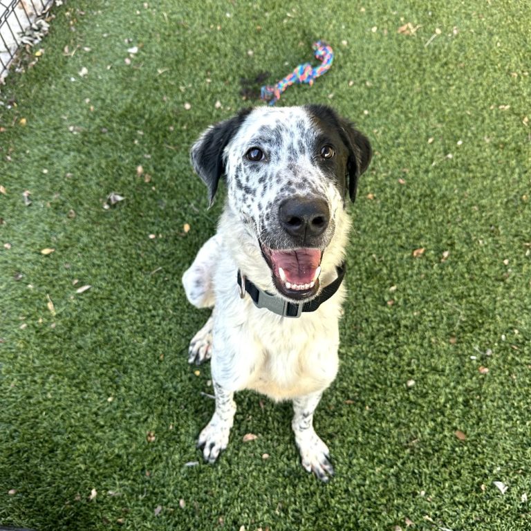 9abb9a6763f4c5825ef19d50fb8d6e67