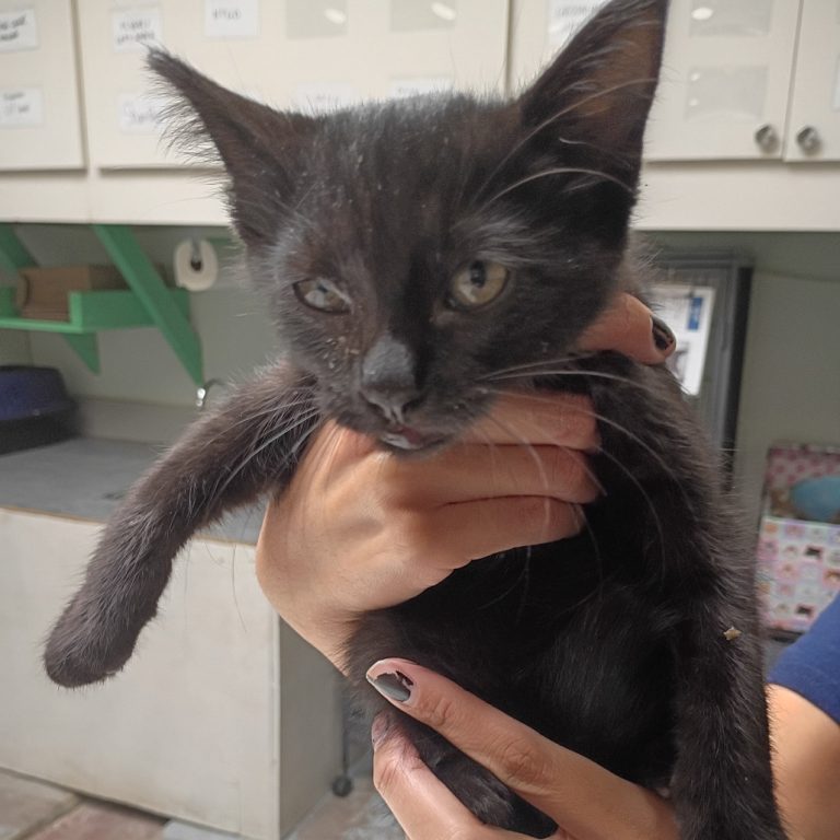 9e366a27dc073fdcb4cc66bebb9f2b10