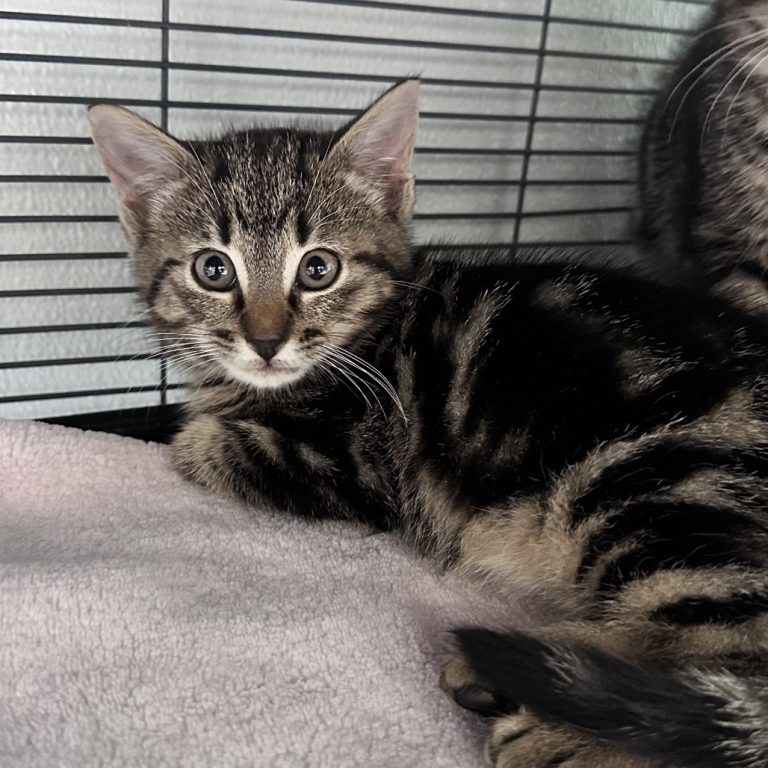 9ebf26cad3cd9370c6d59d3a3528fdb1