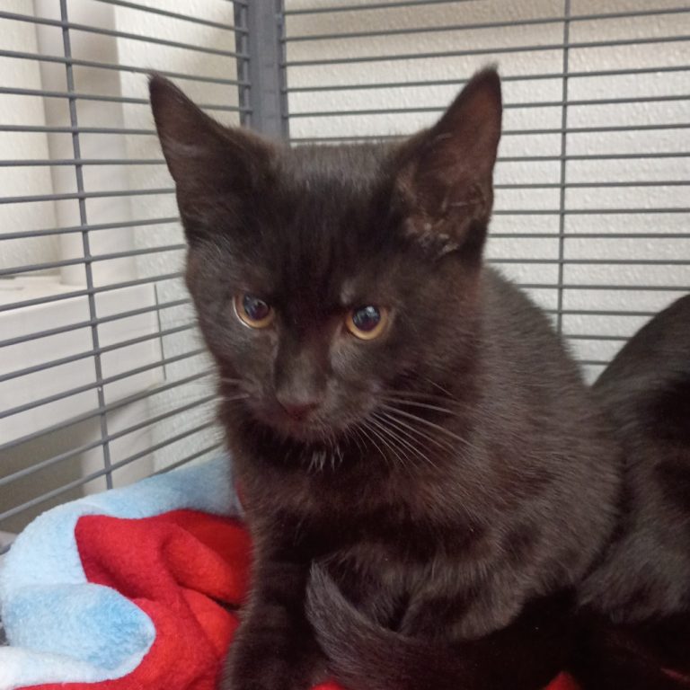 9f5d9e6e2a85aea508af2e8f8a42b934