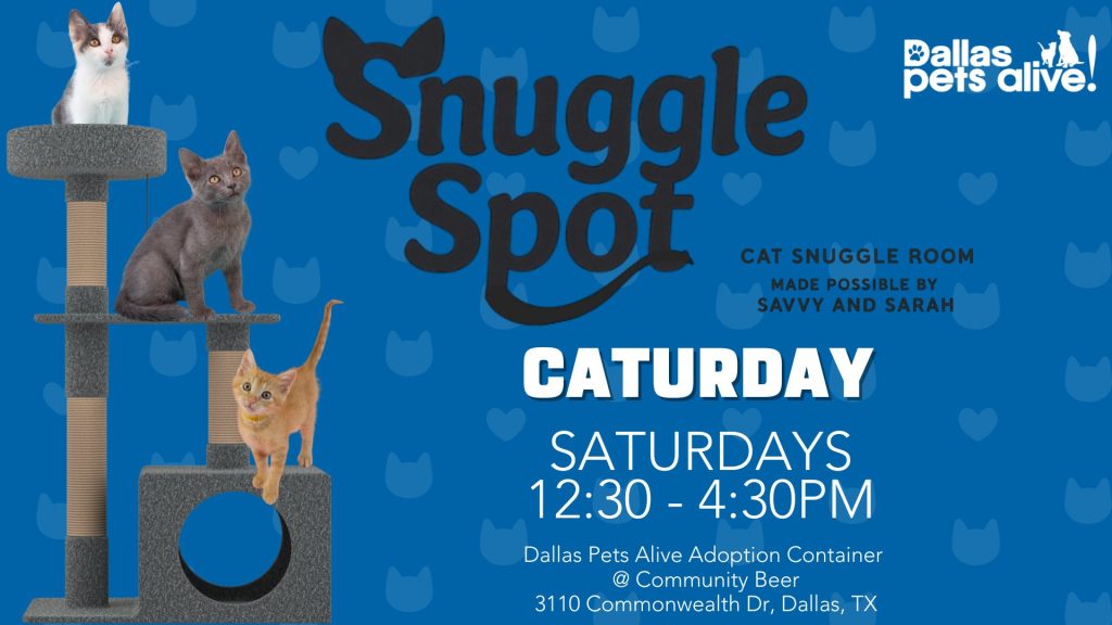 Caturday Snuggle Spot