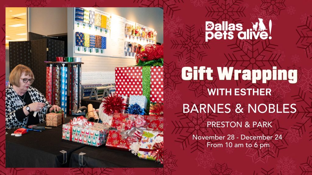 Gift Wrapping with Esther