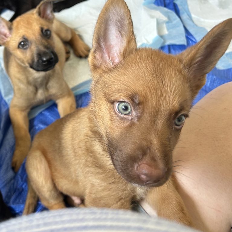 a0117cecf0f76f5ab5bf46b794f43c37