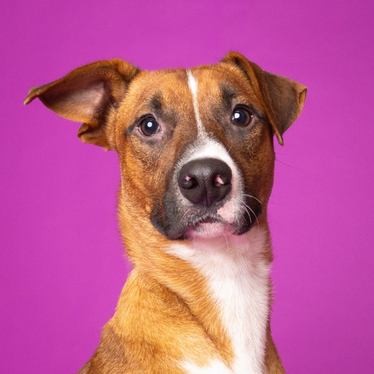 a1e6962666d15b1a6cd96be2c8a3a259