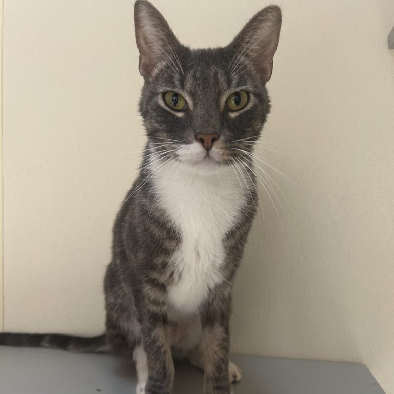 a2a1eeef118066658a298b2a655306cd 1