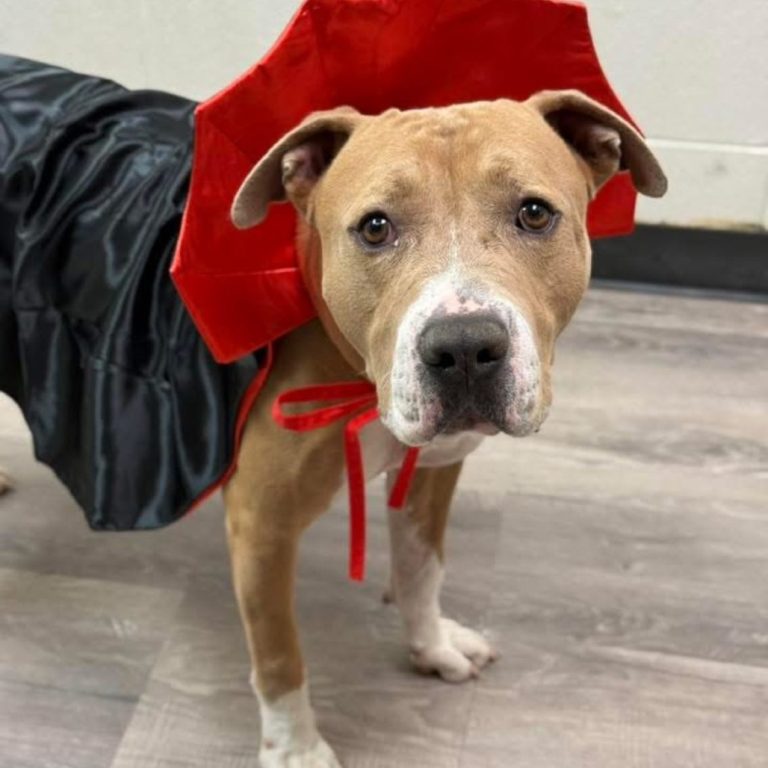 a708fd95cb68cb1a69a32007df10d977