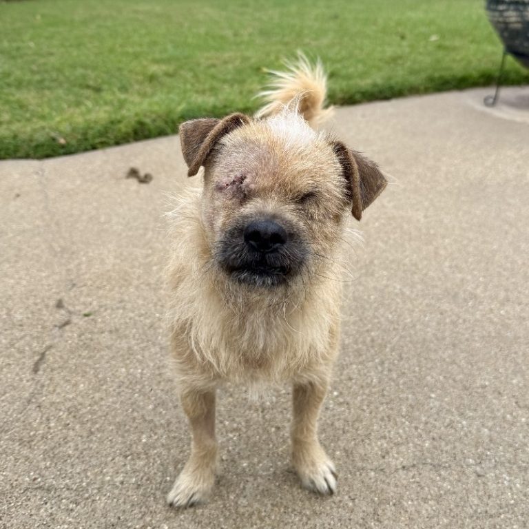 aa921a3ca2ab73fe2e2f6278aa4e6d0c