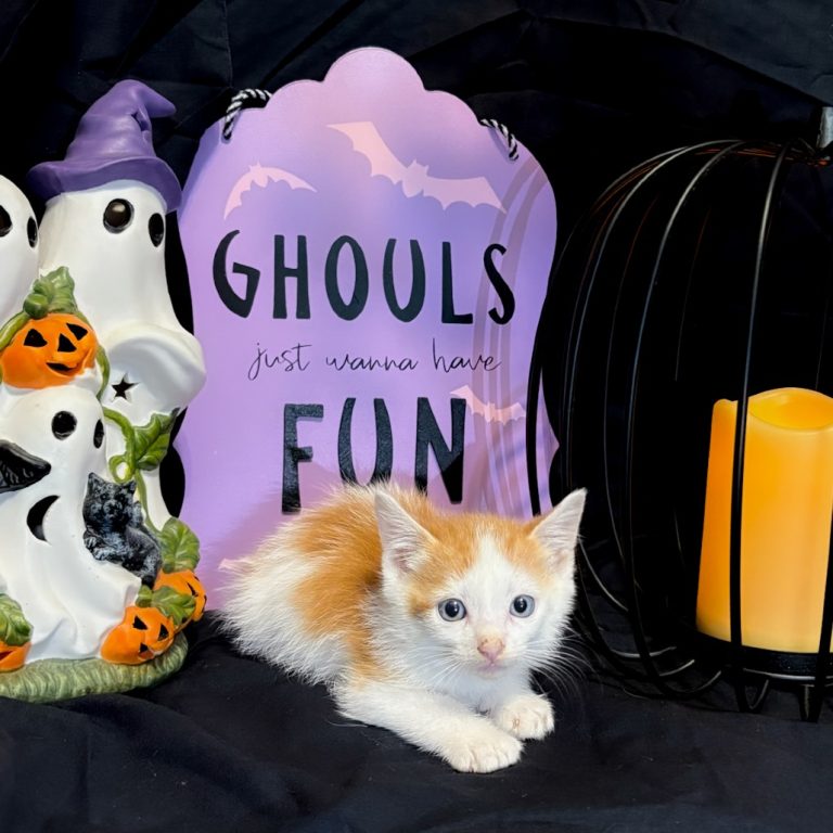 ab1a3bde3f7841c722be138fb321f1d0