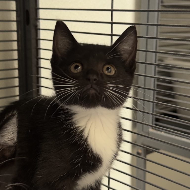 ac19dd0592d206c971ef6ad0ee9accd0