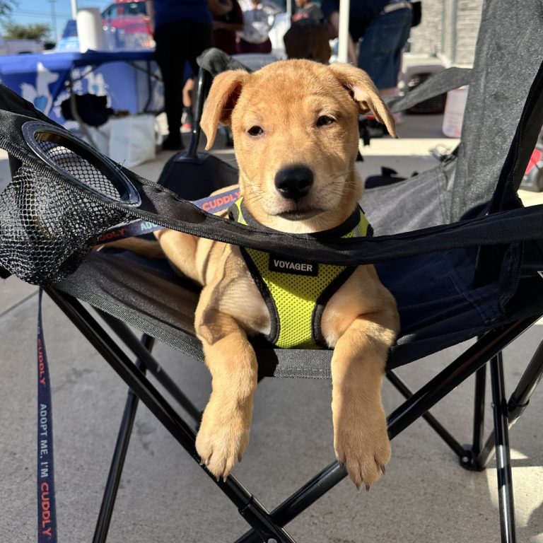 b222dd0303bc88894f14f768abf0fd24