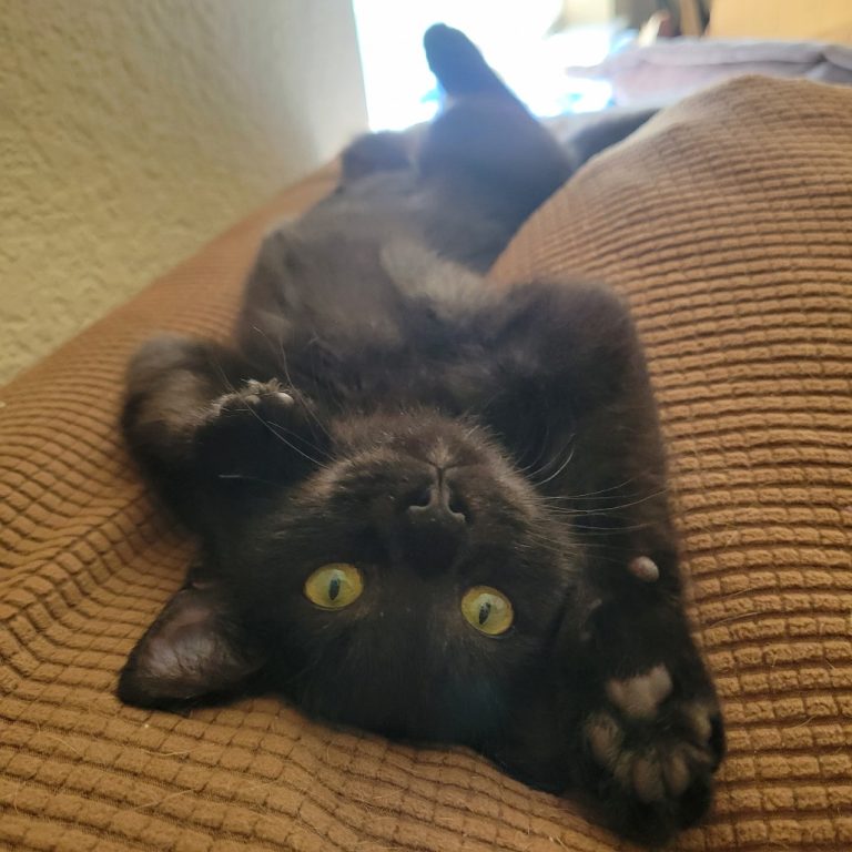 b306a62afe176b217470ea9e02b7491f