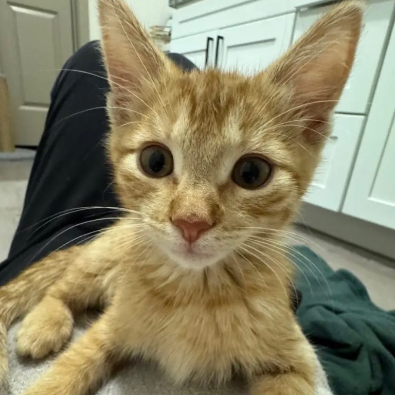 b91327e20172b475646b837ab069abdc