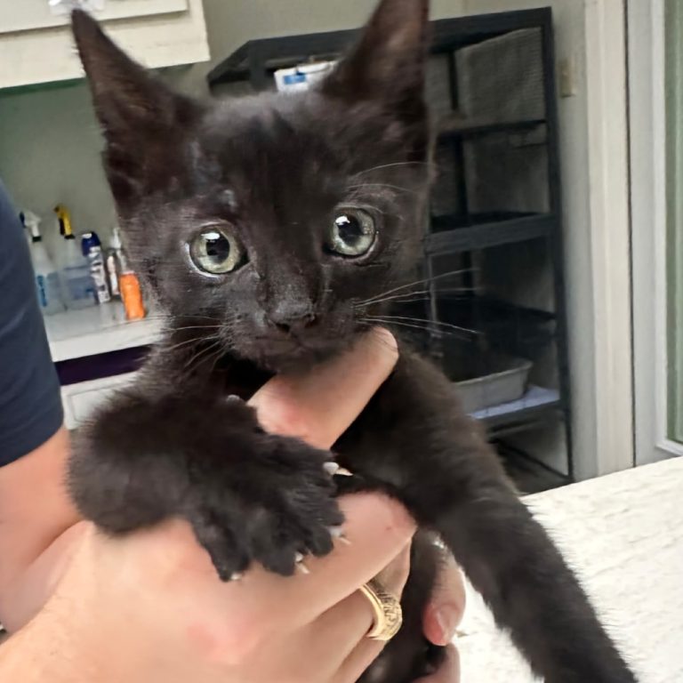 ba4e008e3456ef685c64fd4cc62e0721