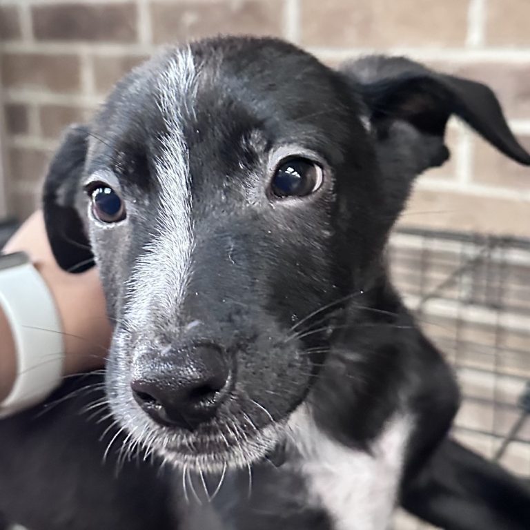 bb79791b80bca66a6bea75a361a138b8