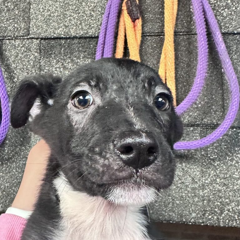 bbb1e3378c30c593cb255aebdea6821a