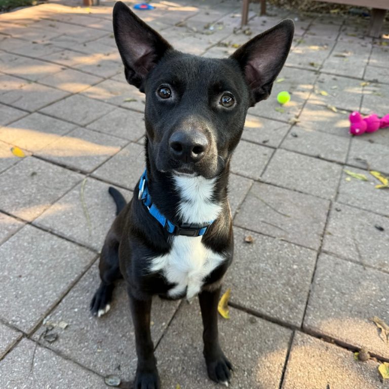 bc37bc2a383e0288b14f9d86e83c5267 1