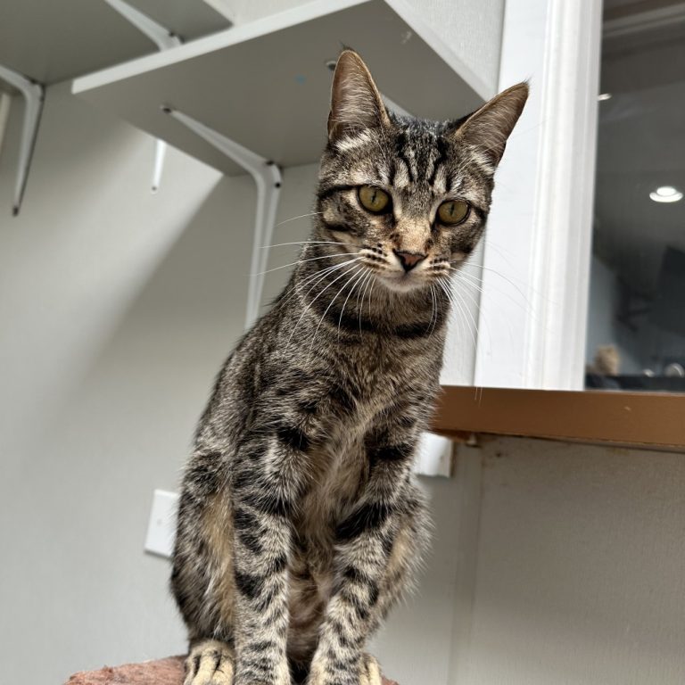 bf34be3e72af07fc12f9a20b6adf9c79