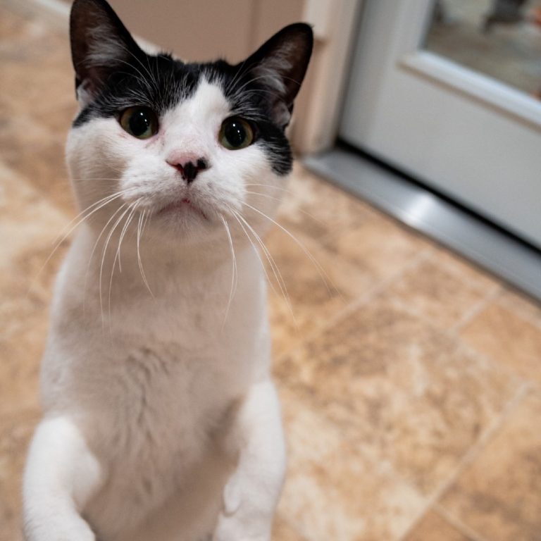 bf784212df2f64736584e3c2f8987b6e