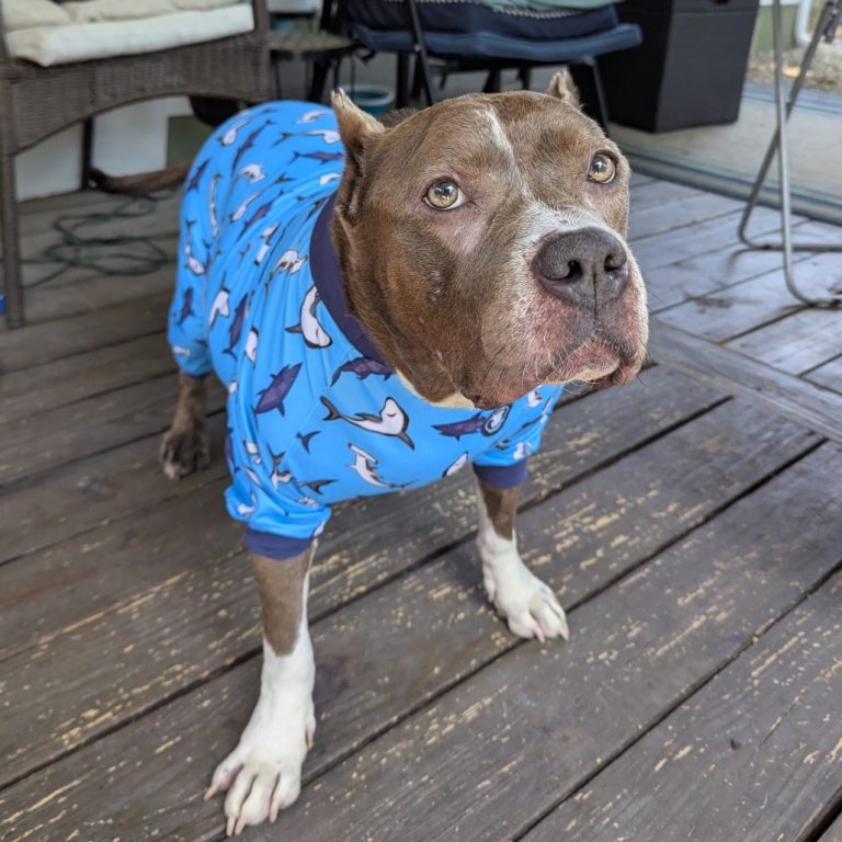 c30383f4f59c4fc1eac9e6c99483dce0