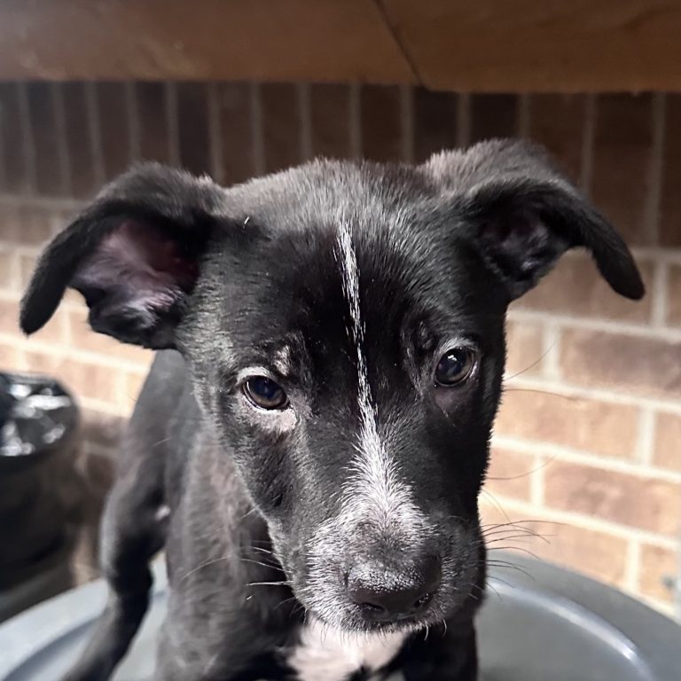 c749db193808c3a54e7e2f3380db3e1e