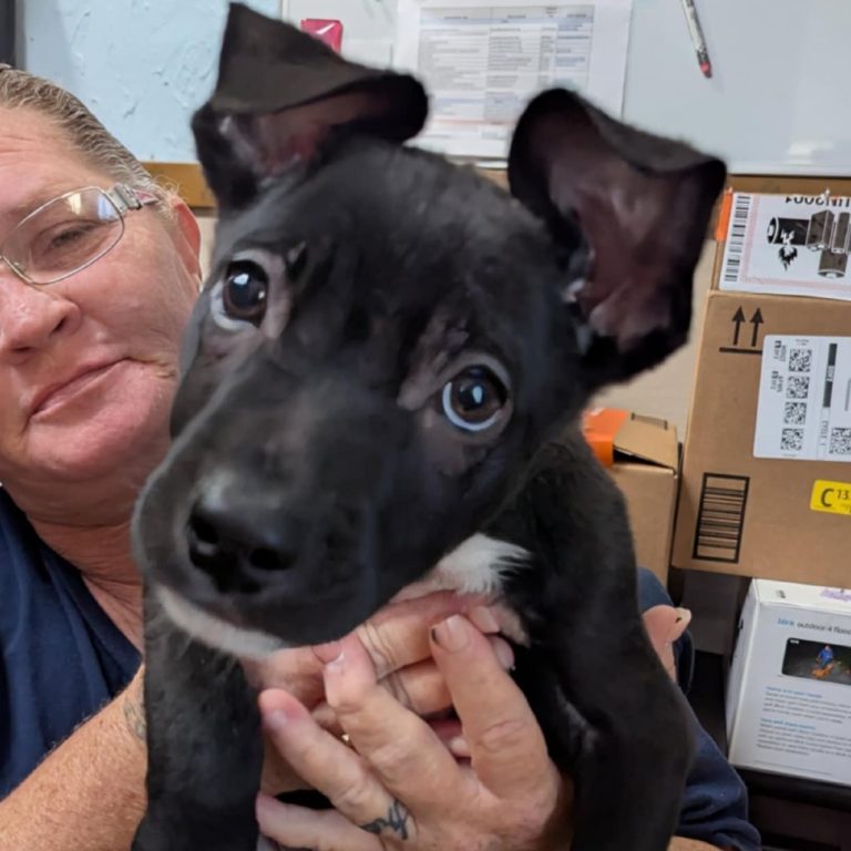 c8e34fe6ac327d42c3cbd9bf3bfe88ab