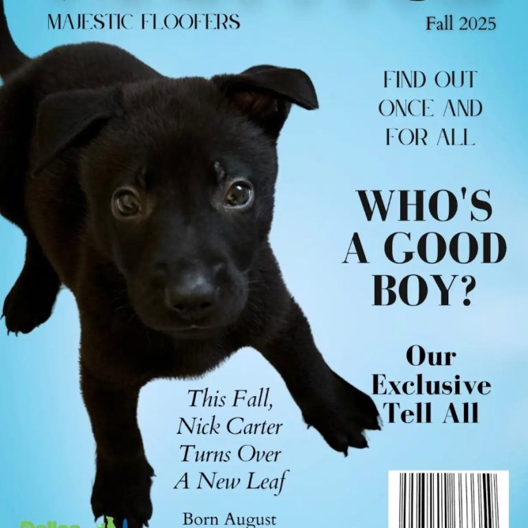 ce98bd98b3ba5b844d9c0b00726135cd