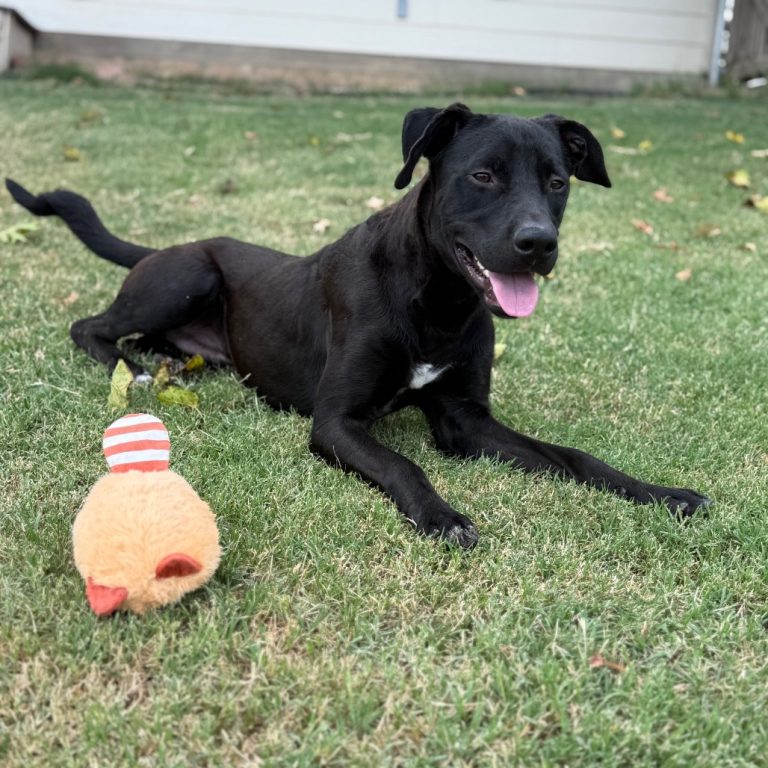 cf516a39bbeb5232d3c05acc4badb75b