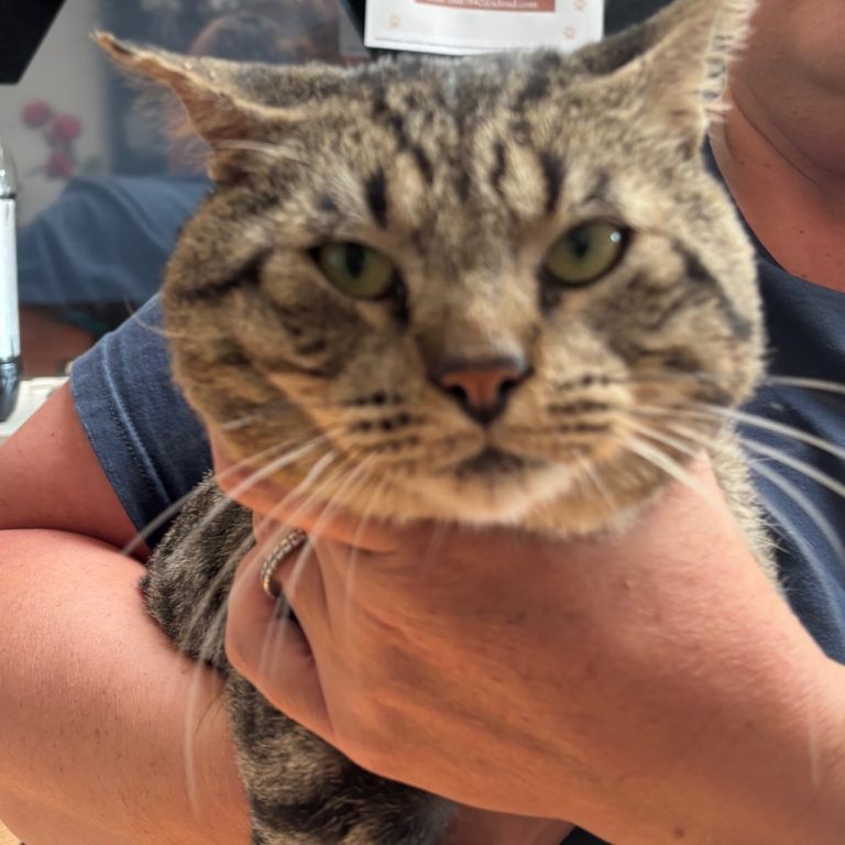 d295250cb1c2416e2c7a06b3b715eaee