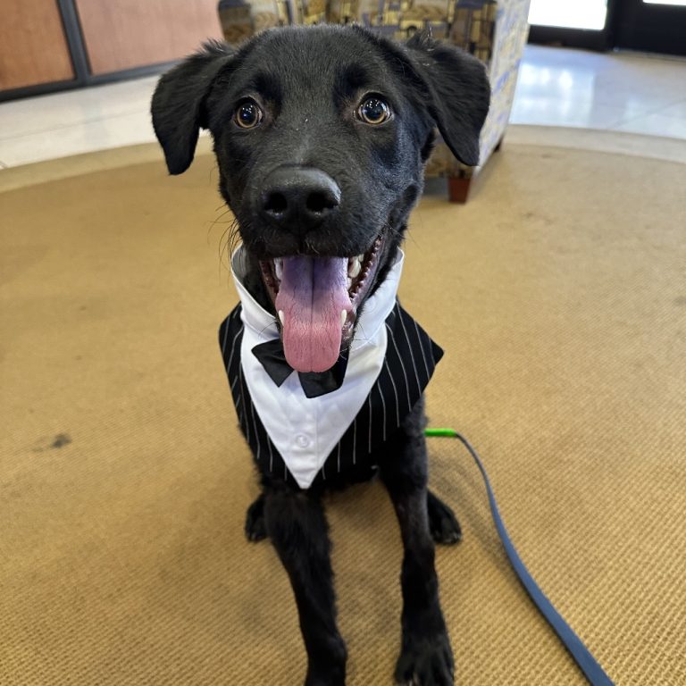 d2d753d6ab009f198c7d5fc33f20011d