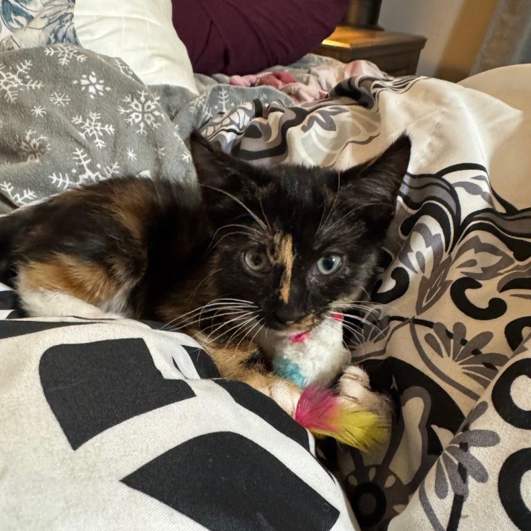 d36b13bc8dd452b3b22902ee14aa2852