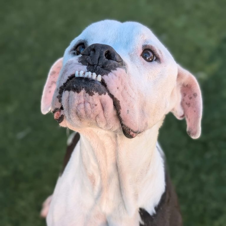 d4c6e258df855df0f515d35206516633