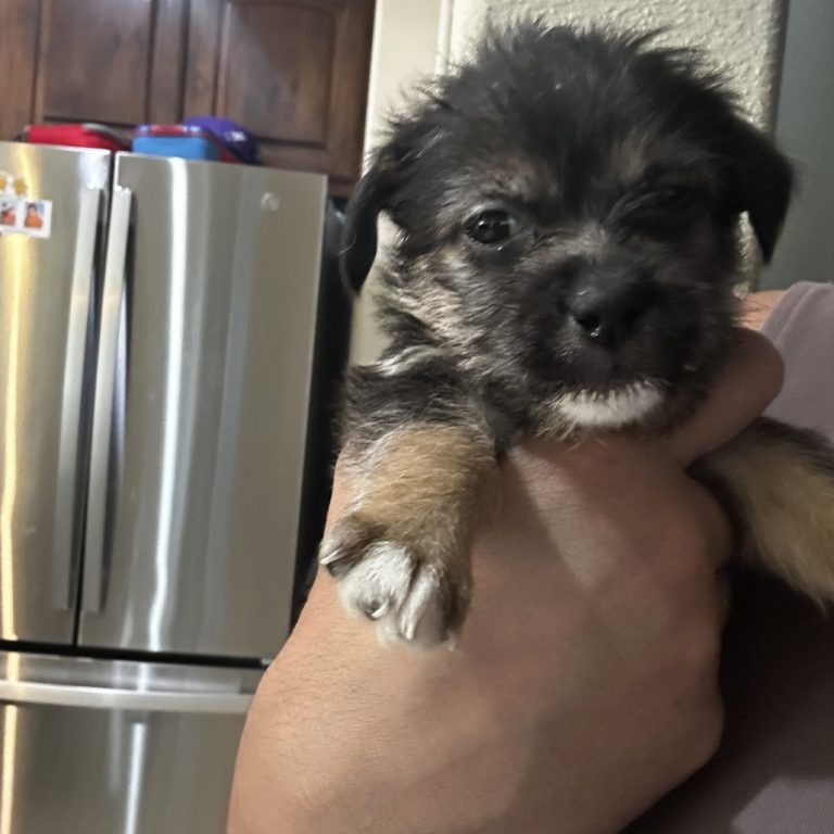 daccd05983e8fc2b19554cc902ca4dbd