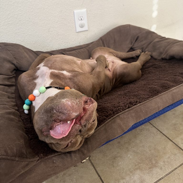 e2f31ba12002d781692028c42a8d7214