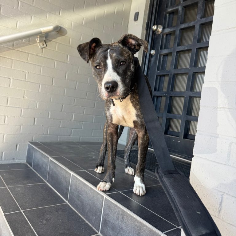 e7d1601fb97db8b1093fbfdef43c54ca