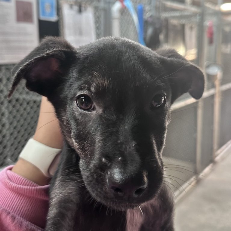 e93118045a30098f9bda655097e0f1c6