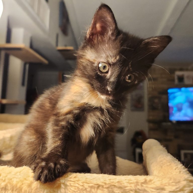 eab74ee0457d9924ac273f8011283800