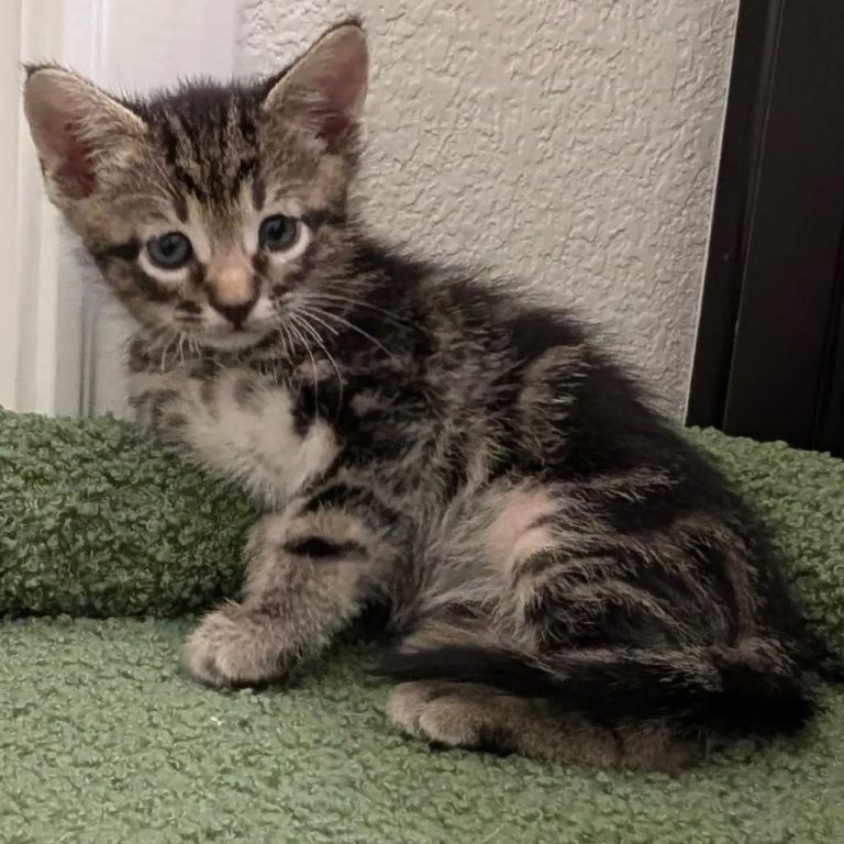 eb96807dae3672a00310bb9533f26fda