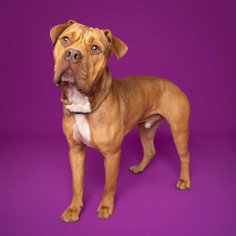 ecc209bcce58a9576418d2f3762f6c0f