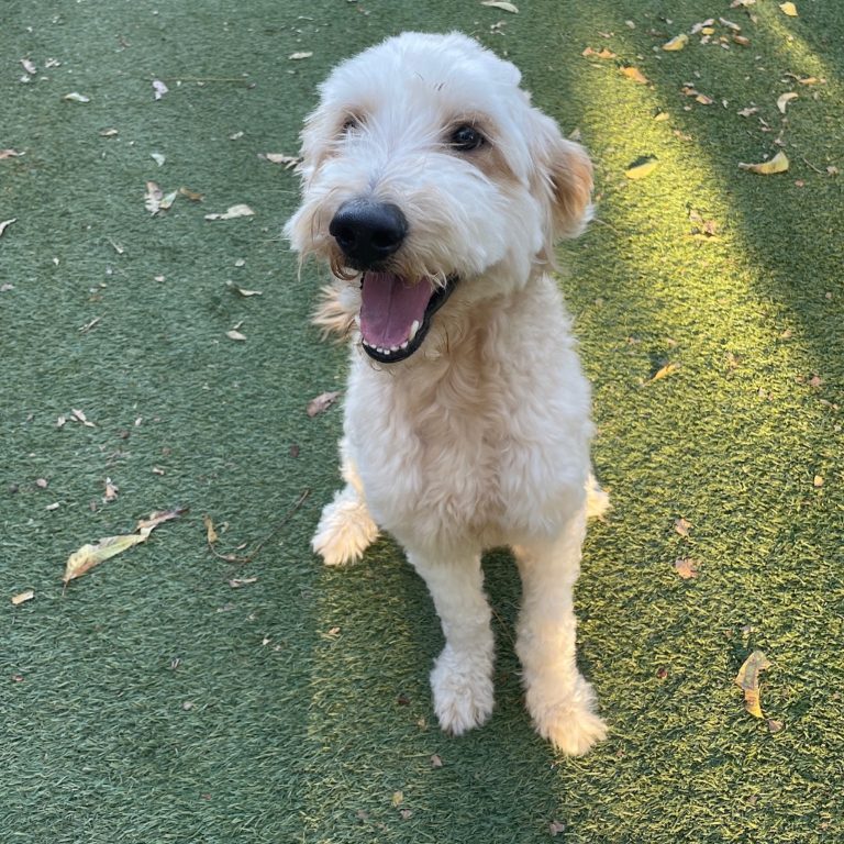 ee0e131351e91d0788beec4aadca5230