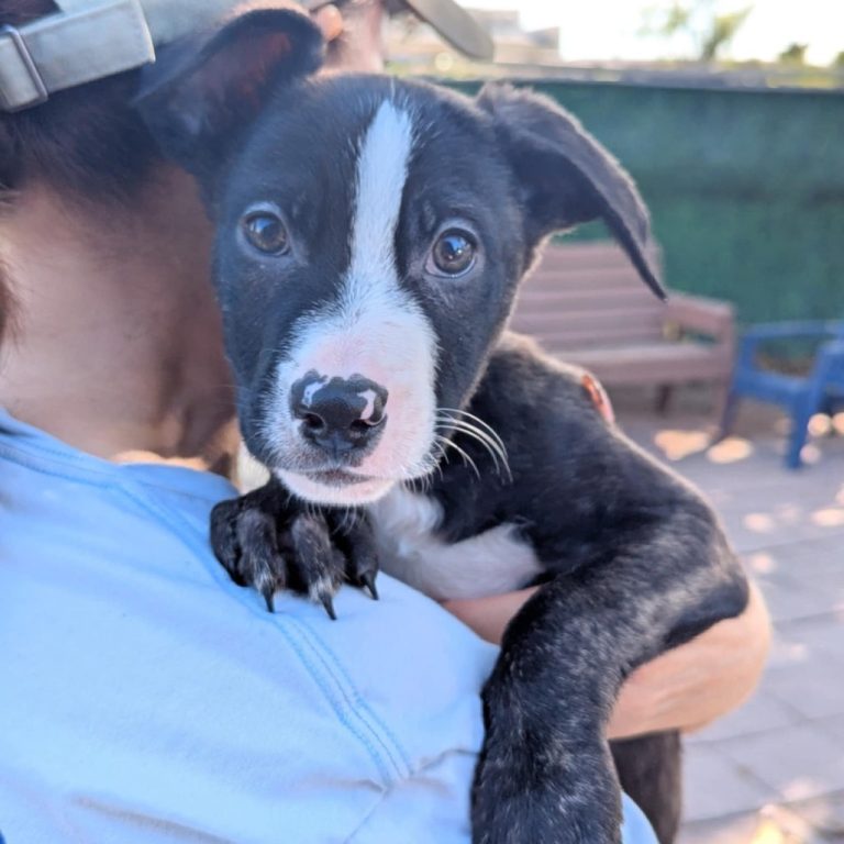 f04b91b038e05a58d77c1aa05b2febfd