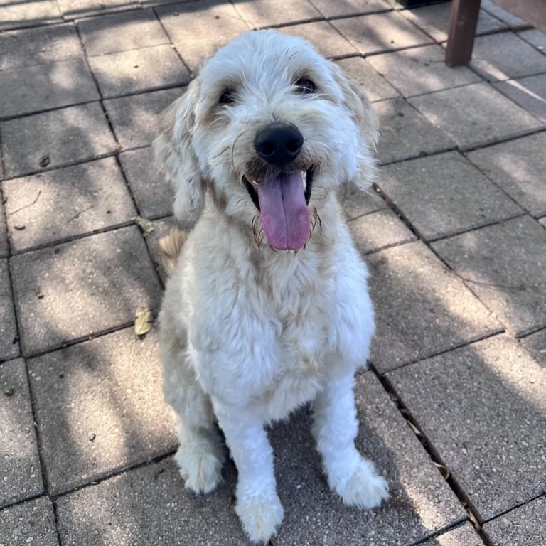 f3a5008551903c43717f29c4250956f3 1