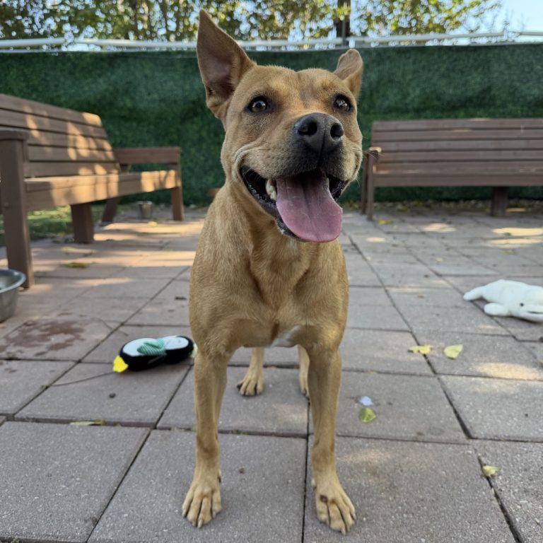 f4ca4ff31857f2e9db961821cfffcfab