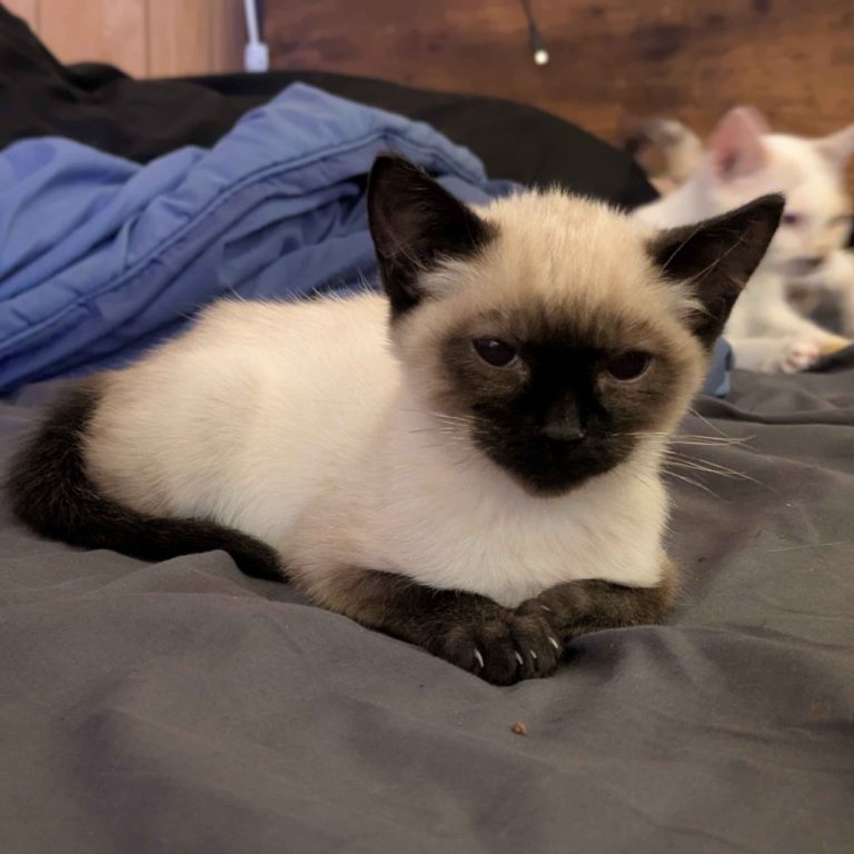 f4f694a1ddac37a0e1915d8fda00d020