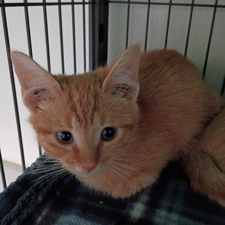 f50ea43d7b071c86410c11f3d8b9553d