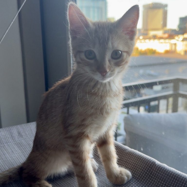 f516cf9896f9b7e55575fc18b48efa15