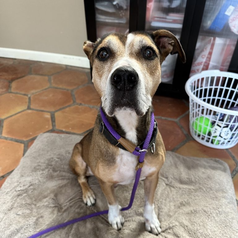 f8ef14f1e5febcfcea6e207b43aa4ea9