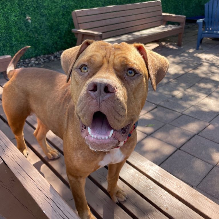 f9c0b901af44d151eb83d81131b30ca8