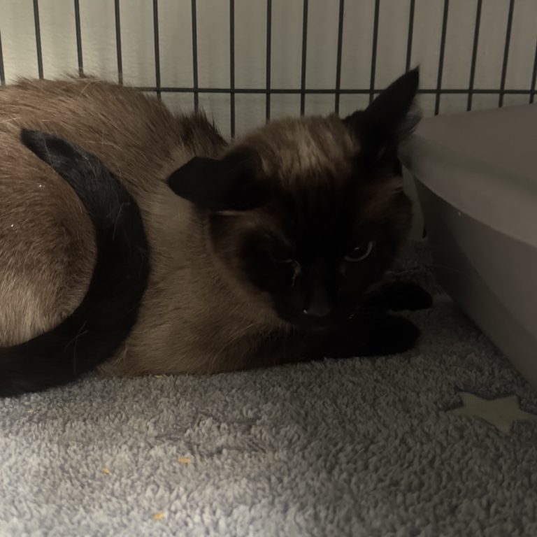 fa66340ade5f9f5e6407d02aa45d924a