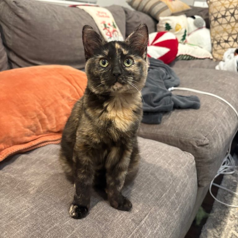 13dbdf8b754bbd197176b418574773f2