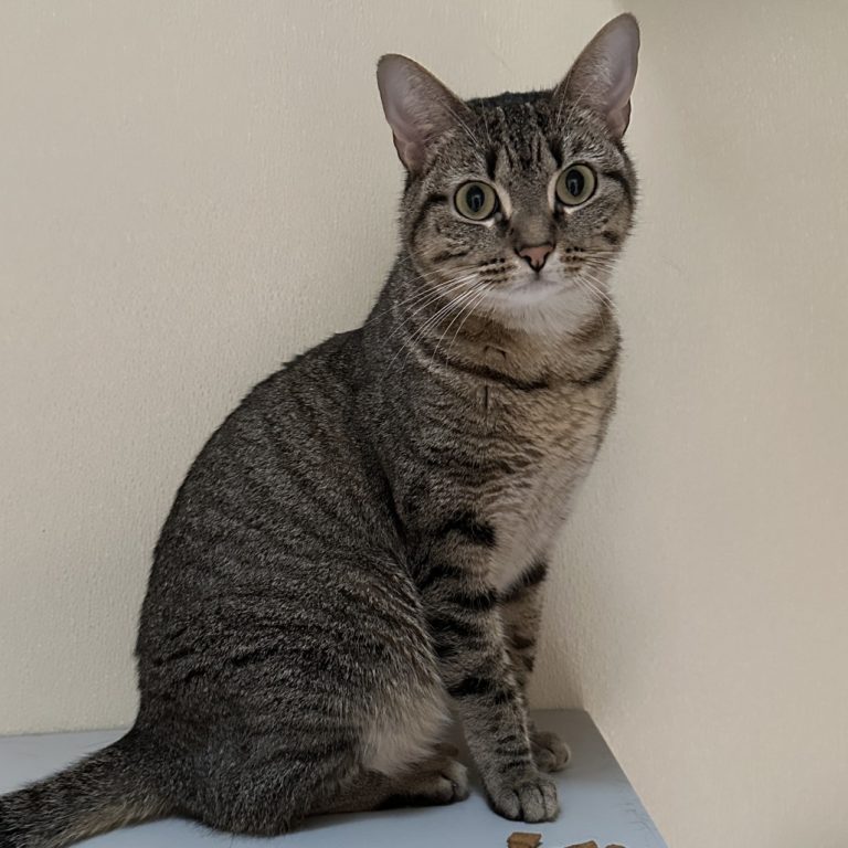 18dcb4010a889d0d0c238771157109c1